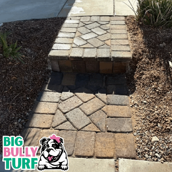 BBT Digital Website Images Buggeed (44)