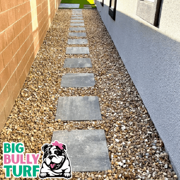 BBT Digital Website Images Buggeed (45)