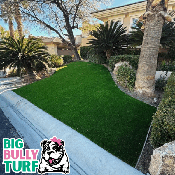 BBT Digital Website Images Buggeed (46)