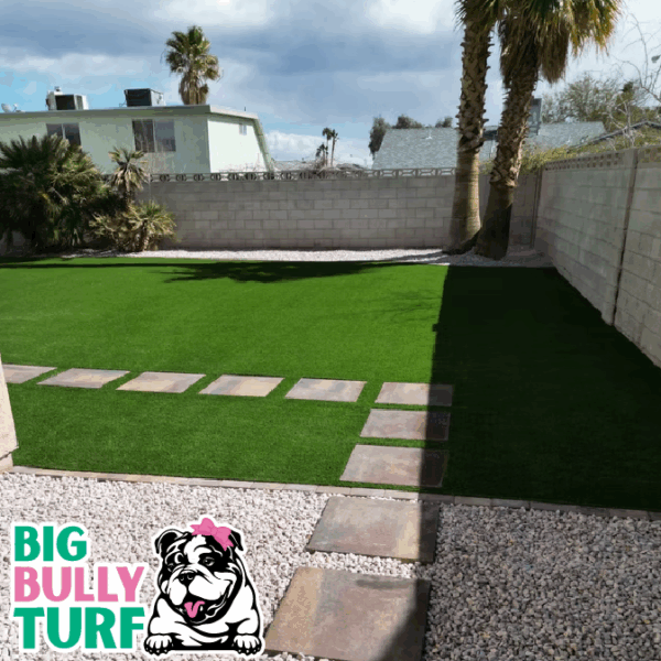 BBT Digital Website Images Buggeed (47)