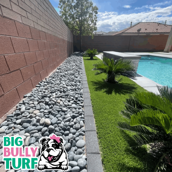 BBT Digital Website Images Buggeed (5)