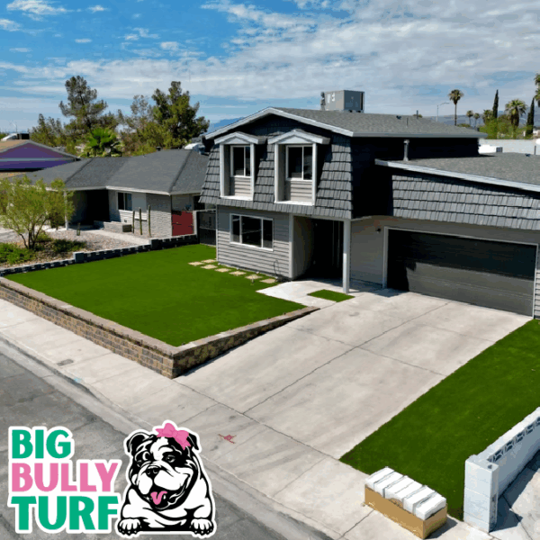 BBT Digital Website Images Buggeed (50)