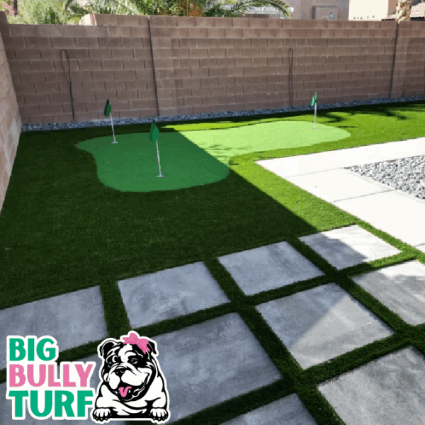 BBT Digital Website Images Buggeed (51)