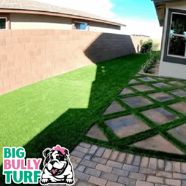 BBT Digital Website Images Buggeed (52)