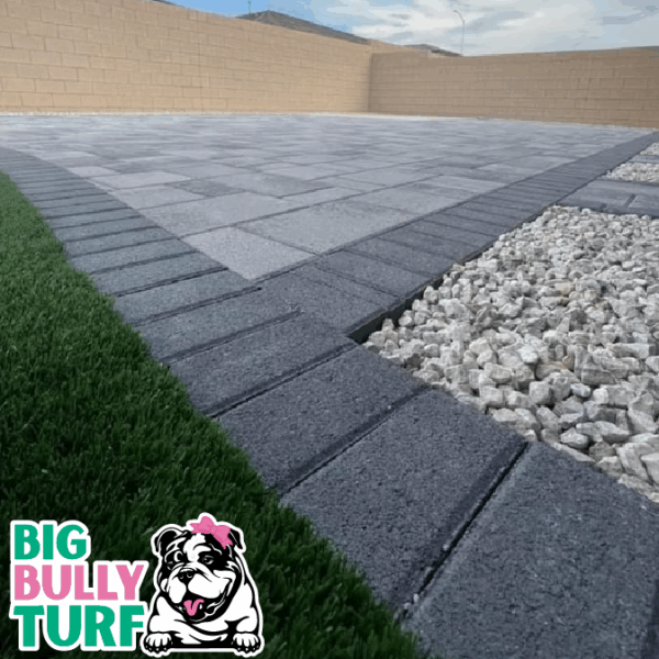 BBT Digital Website Images Buggeed (53)