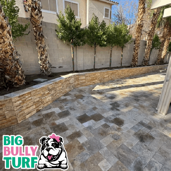 BBT Digital Website Images Buggeed (54)