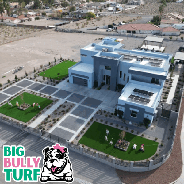 BBT Digital Website Images Buggeed (55)