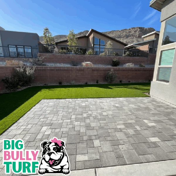 BBT Digital Website Images Buggeed (56)