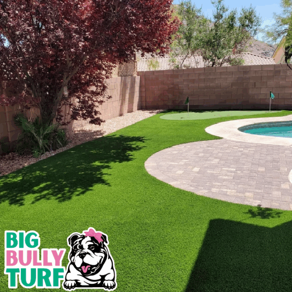 BBT Digital Website Images Buggeed (57)