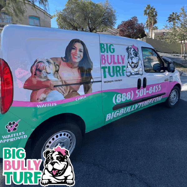 BBT Digital Website Images Buggeed (58)