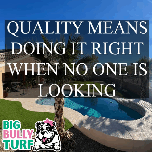 BBT Digital Website Images Buggeed (59)