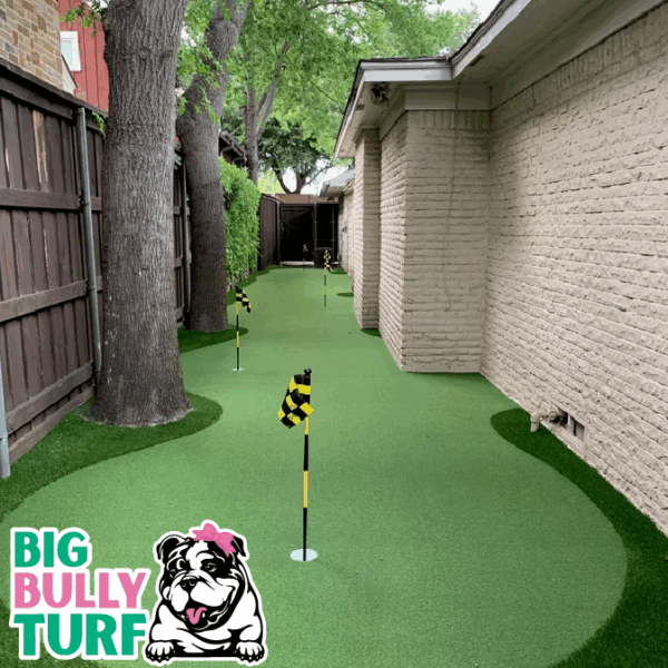 BBT Digital Website Images Buggeed (6)