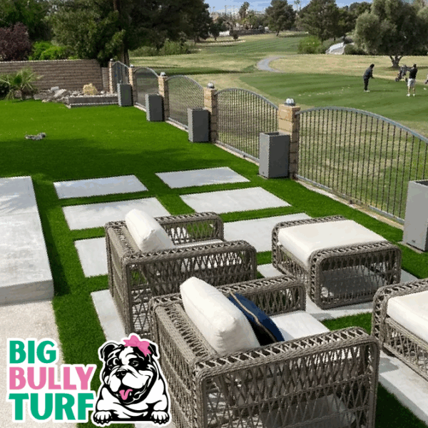 BBT Digital Website Images Buggeed (60)