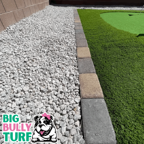 BBT Digital Website Images Buggeed (61)