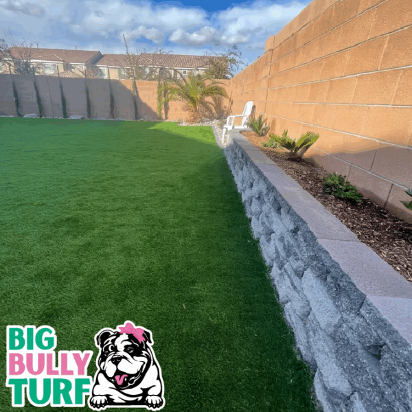 BBT Digital Website Images Buggeed (63)