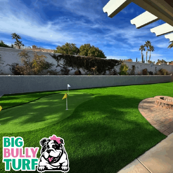 BBT Digital Website Images Buggeed (66)