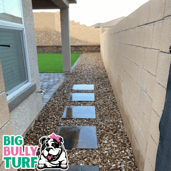 BBT Digital Website Images Buggeed (67)