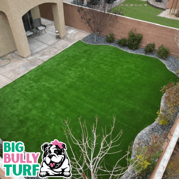 BBT Digital Website Images Buggeed (68)