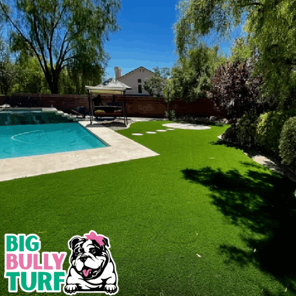 BBT Digital Website Images Buggeed (69)