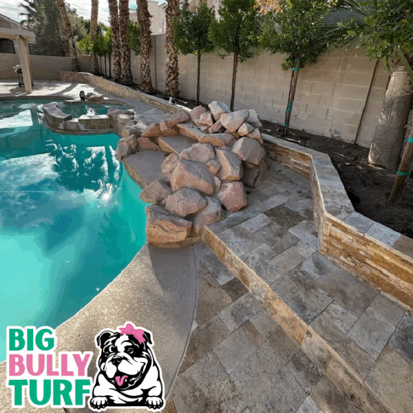 BBT Digital Website Images Buggeed (7)