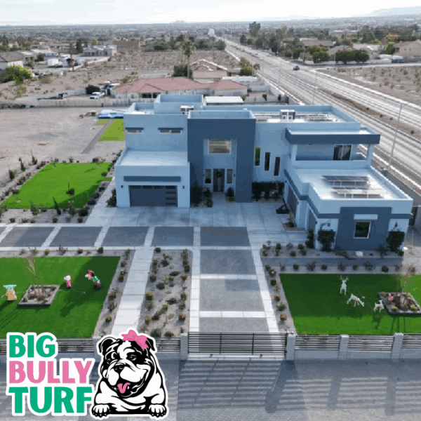 BBT Digital Website Images Buggeed (70)