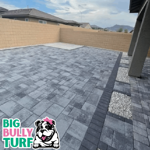 BBT Digital Website Images Buggeed (71)