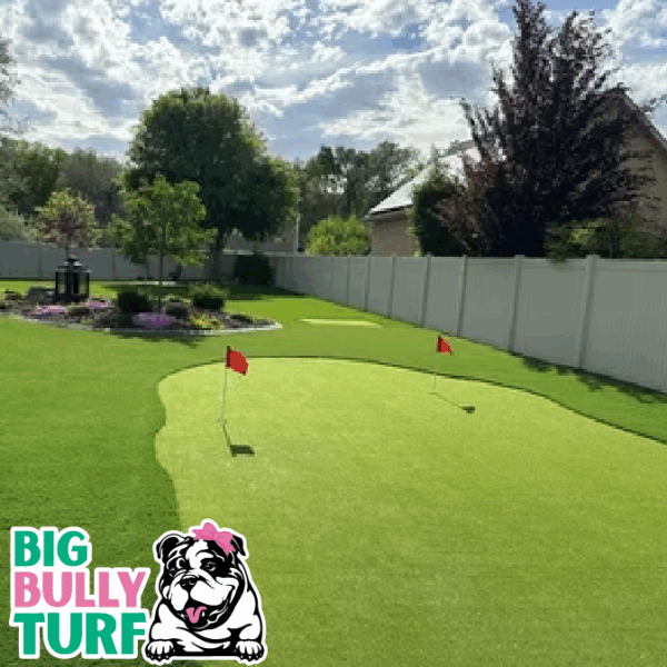 BBT Digital Website Images Buggeed (72)