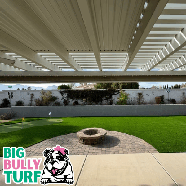 BBT Digital Website Images Buggeed (73)