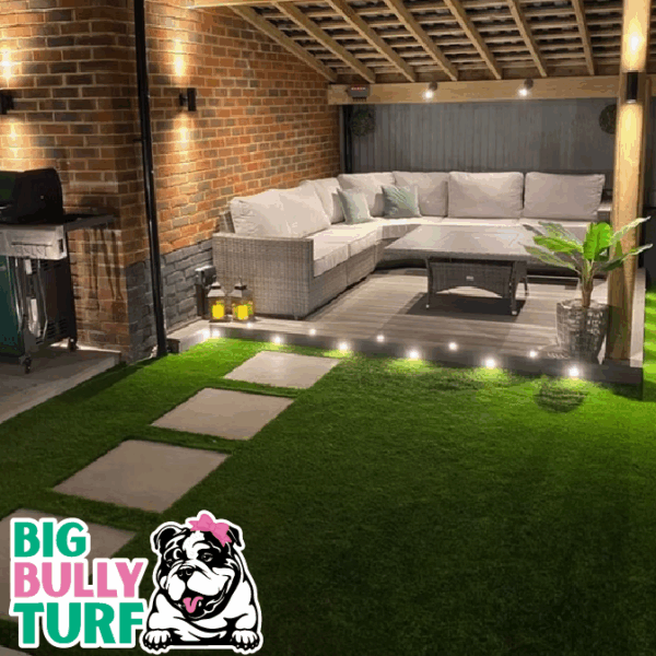 BBT Digital Website Images Buggeed (75)