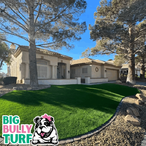 BBT Digital Website Images Buggeed (76)