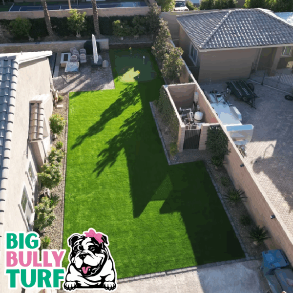 BBT Digital Website Images Buggeed (78)