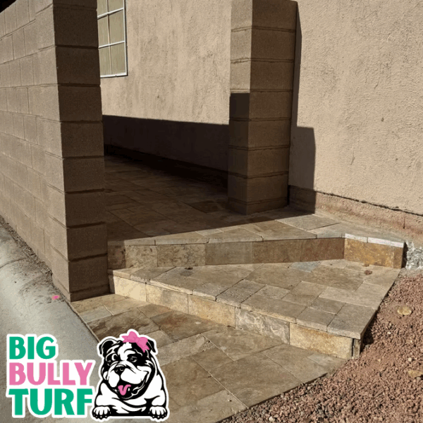 BBT Digital Website Images Buggeed (79)