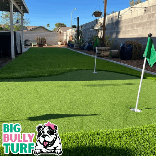 BBT Digital Website Images Buggeed (8)