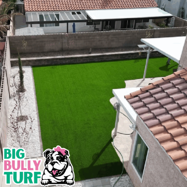 BBT Digital Website Images Buggeed (80)