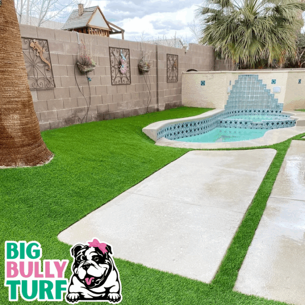 BBT Digital Website Images Buggeed (82)