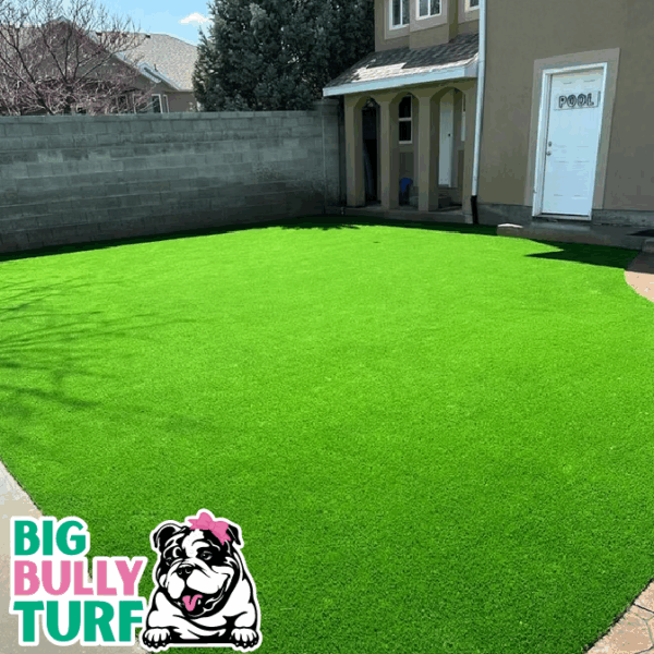 BBT Digital Website Images Buggeed (83)