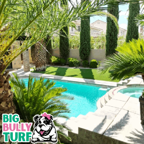 BBT Digital Website Images Buggeed (84)