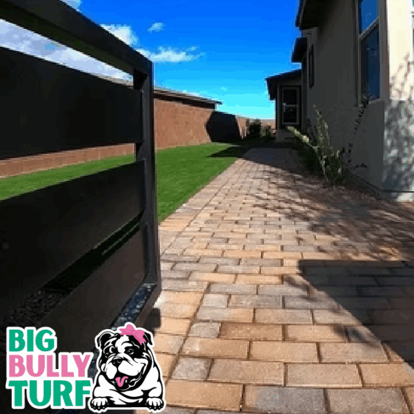 BBT Digital Website Images Buggeed (85)