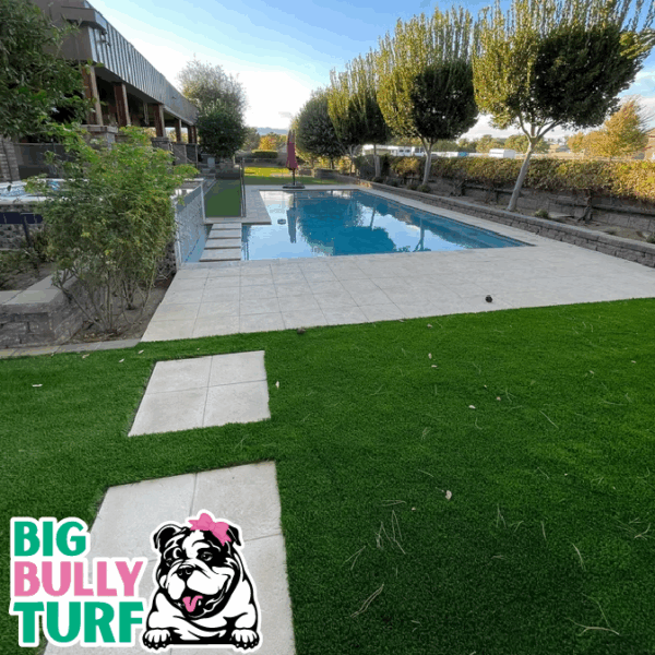 BBT Digital Website Images Buggeed (86)