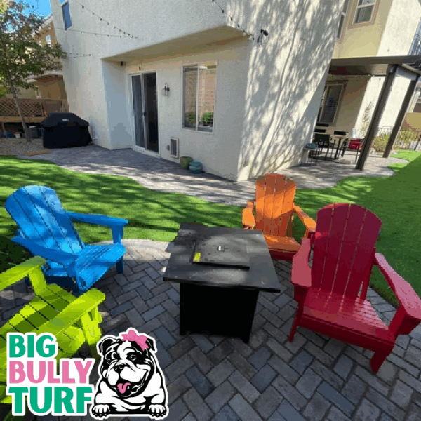 BBT Digital Website Images Buggeed (87)