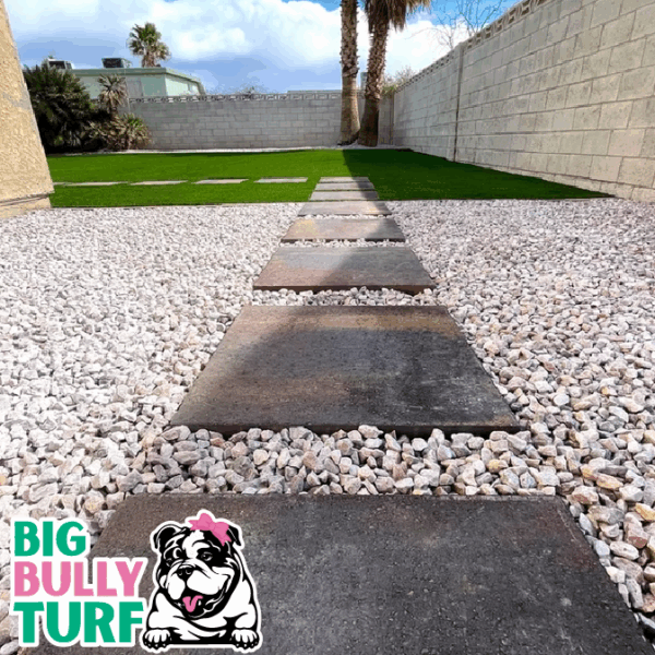 BBT Digital Website Images Buggeed (88)