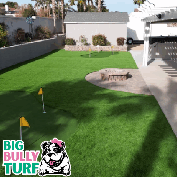 BBT Digital Website Images Buggeed (89)