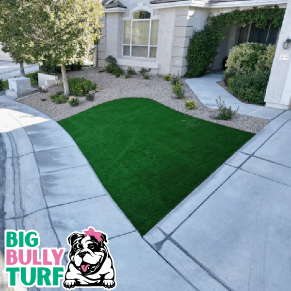 BBT Digital Website Images Buggeed (9)