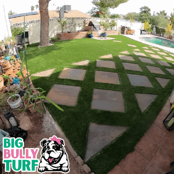 BBT Digital Website Images Buggeed (91)