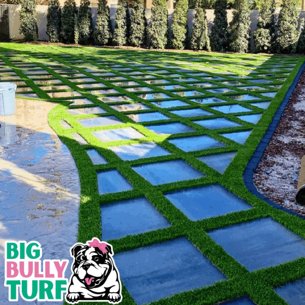 BBT Digital Website Images Buggeed (92)