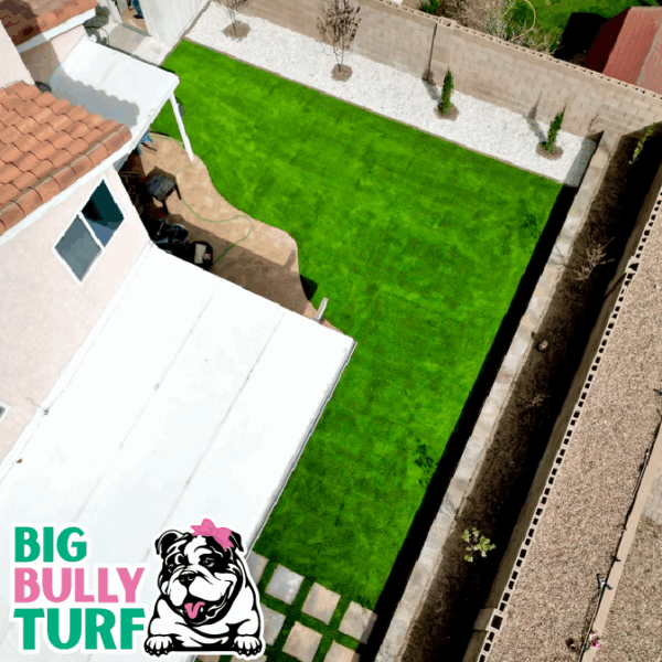 BBT Digital Website Images Buggeed (93)