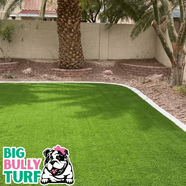 BBT Digital Website Images Buggeed (94)