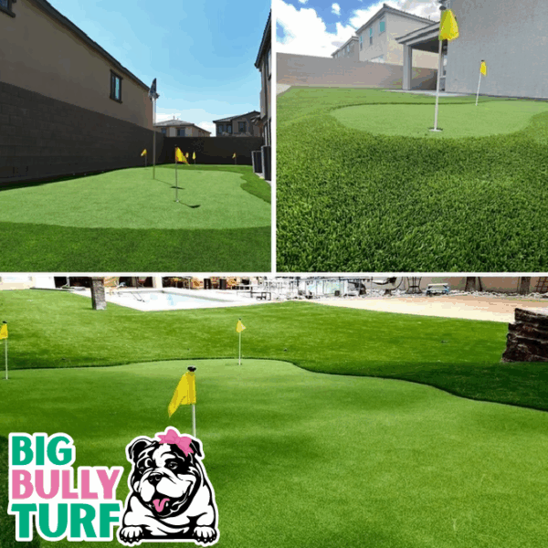 BBT Digital Website Images Buggeed (95)