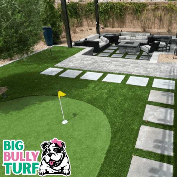 BBT Digital Website Images Buggeed (97)