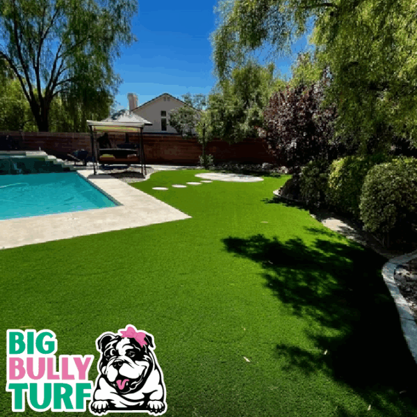 Backyard landscape artificial turf Backyard landscape artificial turf